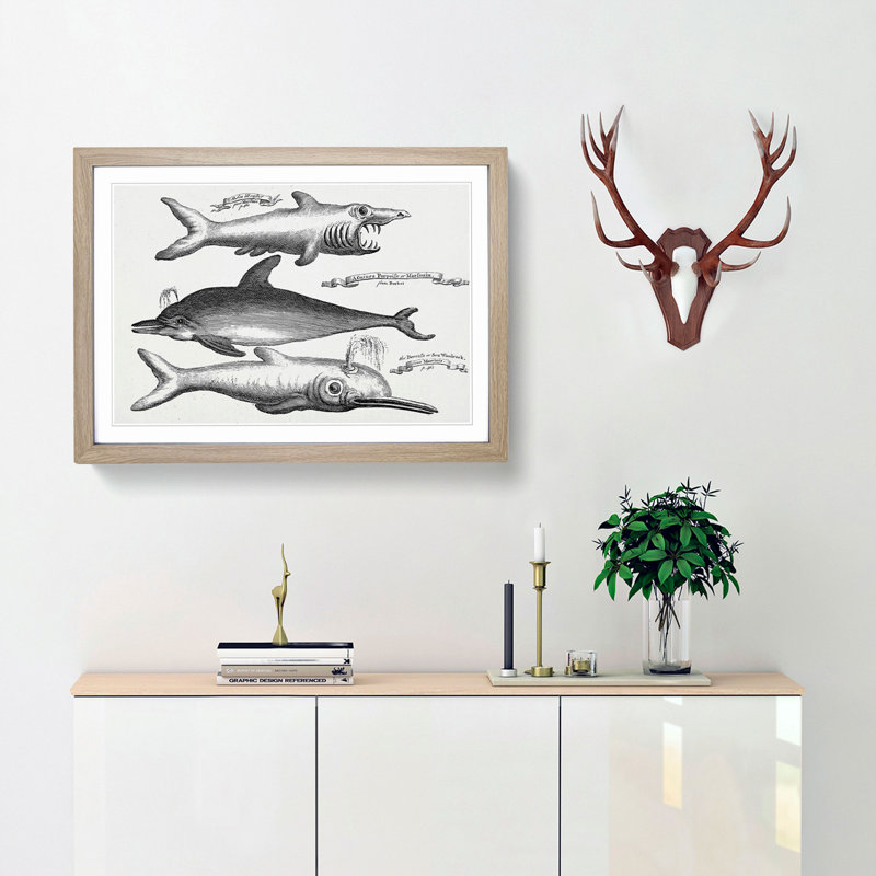 Shark and Dolphins by Thomas Astley - Picture Frame Drawing Print, Oak Framed, 27cm H x 36cm W x 2cm D