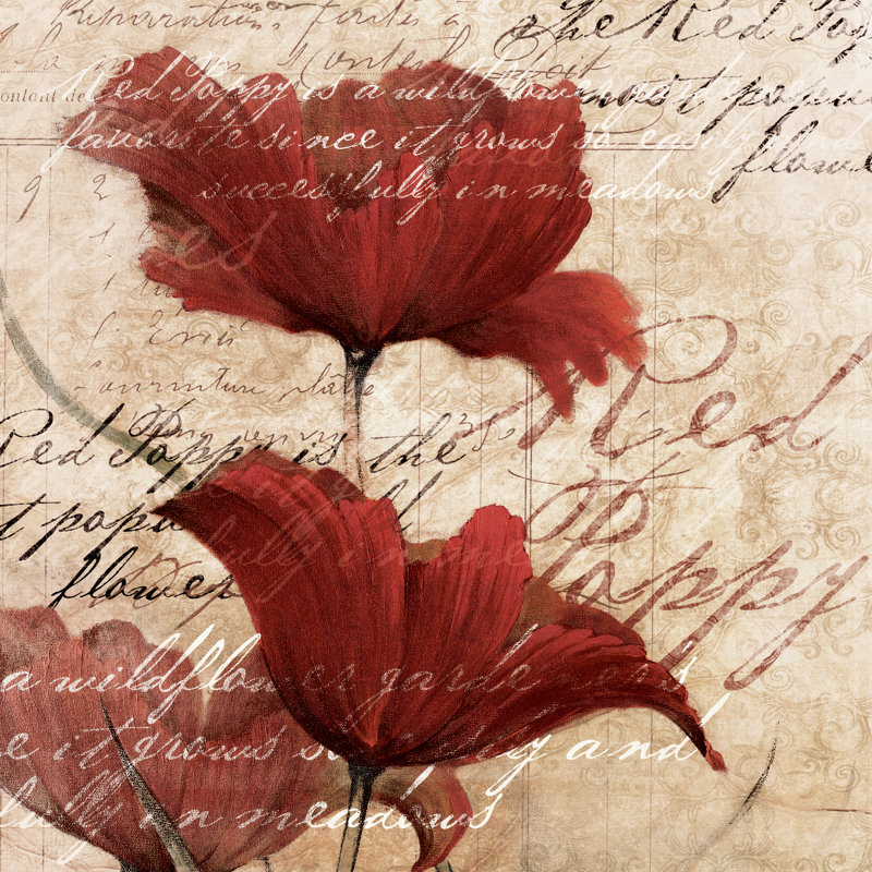 Poppies - Wrapped Canvas Print, 30cm H x 30cm W