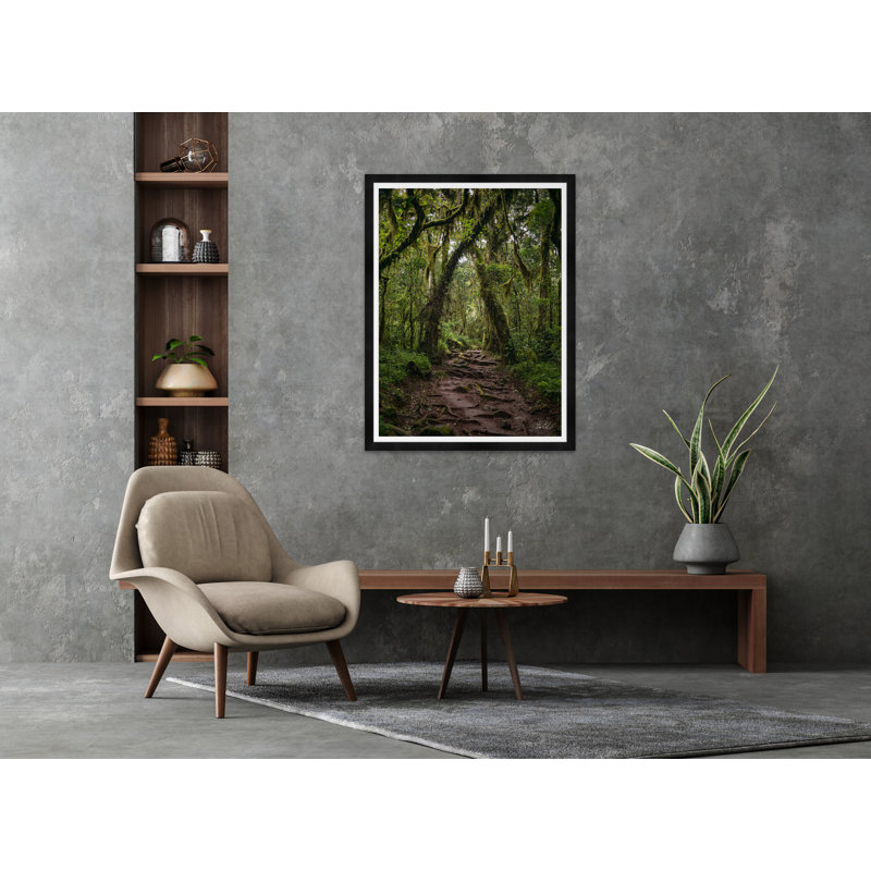 Rainforrest par Tim Klein - Photographie avec cadre