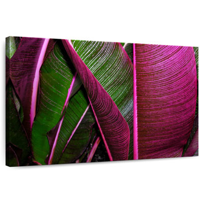 Harnek Two Toned Tropical Leaves