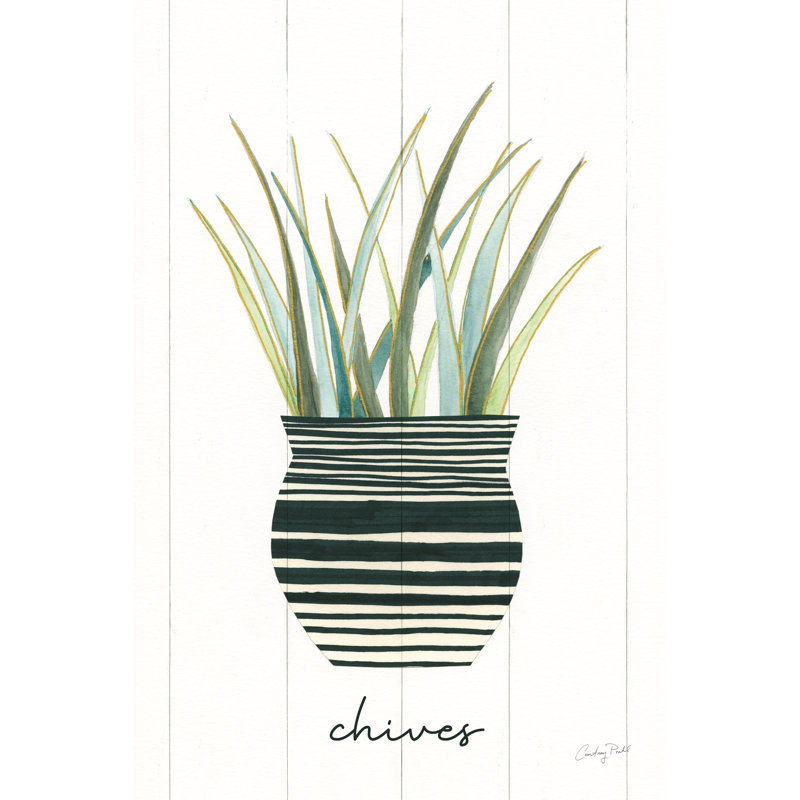 Herb Garden VI by Courtney Prahl - Wrapped Canvas Print, 91cm H x 61cm W