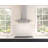 Zephyr Ravenna 30 in. 600 CFM Wall Mount Range Hood with LED Lights-70835364