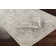 Witten Oriental Indoor Rug