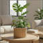 Pot rond Strata-125534271