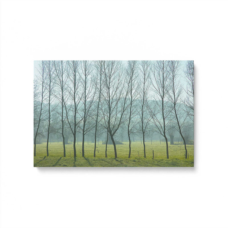 «Misty Normandy Meadow» sur toile par Caroyl La Barge, Toile tendue, H 8 po x l 12 po x P 1,25 po