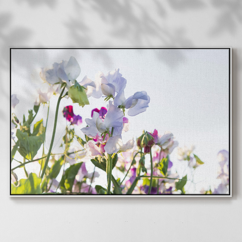 Spring Blooms, reproduction d'art sur toile, Blanc, H 27 po x l 41 po x P 2 po