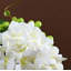 Décoration de fleurs simulées