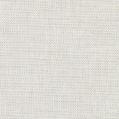 Exclusive Prints and Wovens Fabric