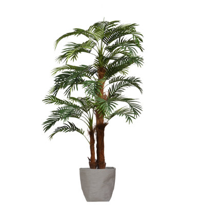 Panama Faning Floor Palm Tree