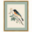 «Orchard Oriole», reproduction d'art sur toile par Art Remedy-118168391-118168395