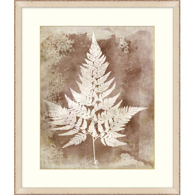 Routt Ferns 1 Painting