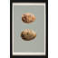 Classic Egg Study 6 Print
