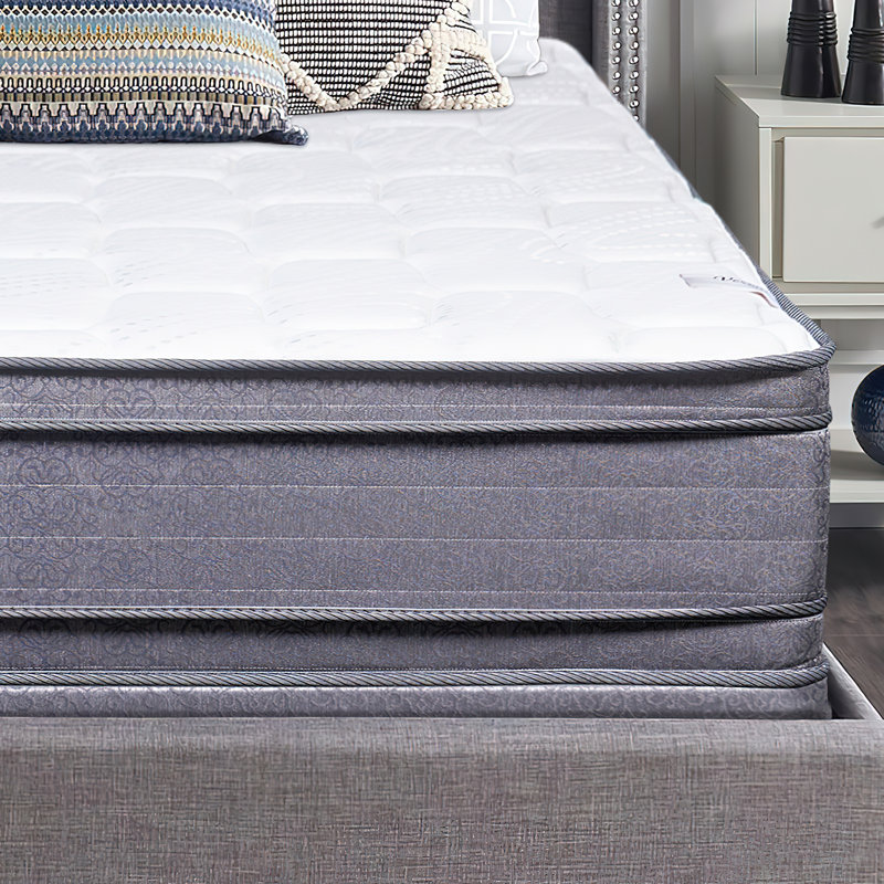 Alwyn Home Ornithogale 20'' Plush Memory Foam Mattress and Box Spring, Twin