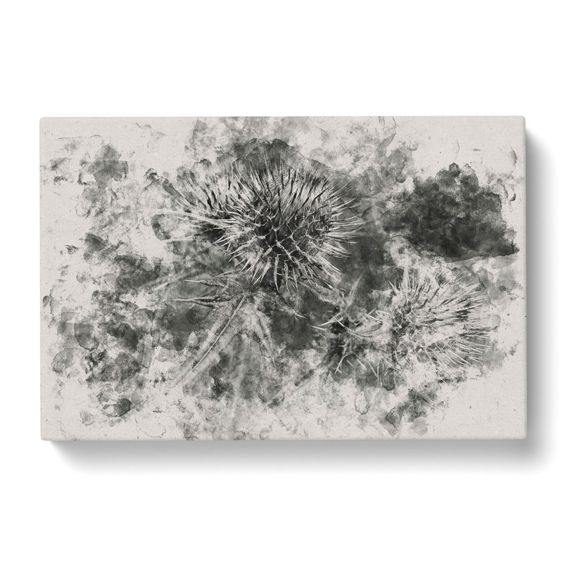 Thistle Flower Vol.5 Watercolour - Wrapped Canvas Print, 35cm H x 50cm W x 3cm D