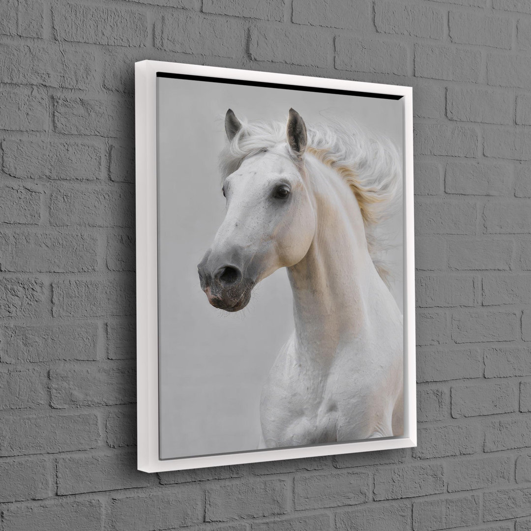 Large Horse Canvas Art Poster Ideal for Enhancing The Aesthetic Appeal of Your Living Room