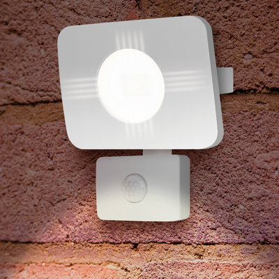 Ownby 1-Light LED Flood Light
