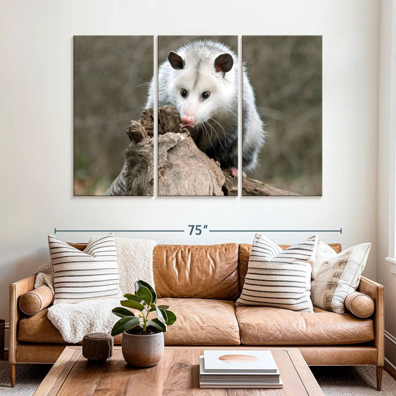 Bramble opossum, H 42 po x l 65 po