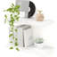 2 Piece Floating Shelf