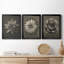 «Blossfeldt Flower I», ensemble de 3 impressions sur toile encadrées-1488156594-1488156599