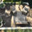 Indoor / Outdoor Rug-161492363