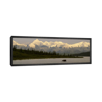 Moose Standing On A Frozen LakeWonder Lake, Denali National Park, Alaska, USA by Panoramic Images - Floater Frame Panoramic Gallery-Wrapped Canvas Giclée on Canvas