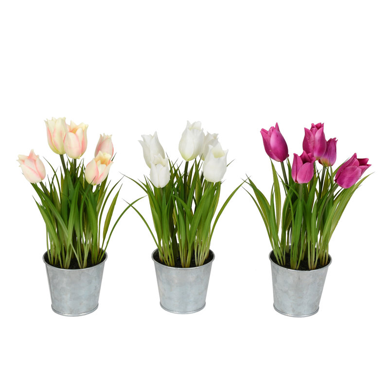 Arrangement floral de tulipes en pot