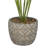 19.55 " H Faux Plant in Porcelain Pot