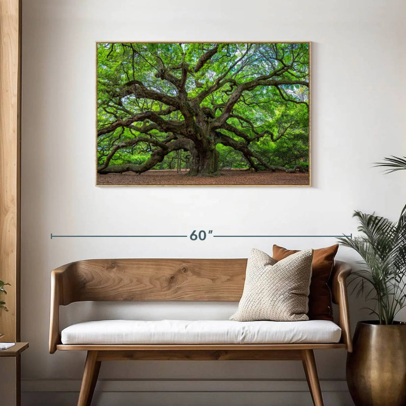 Old Oak Tree, Floating Frame Natural Wood, 43" X 29"