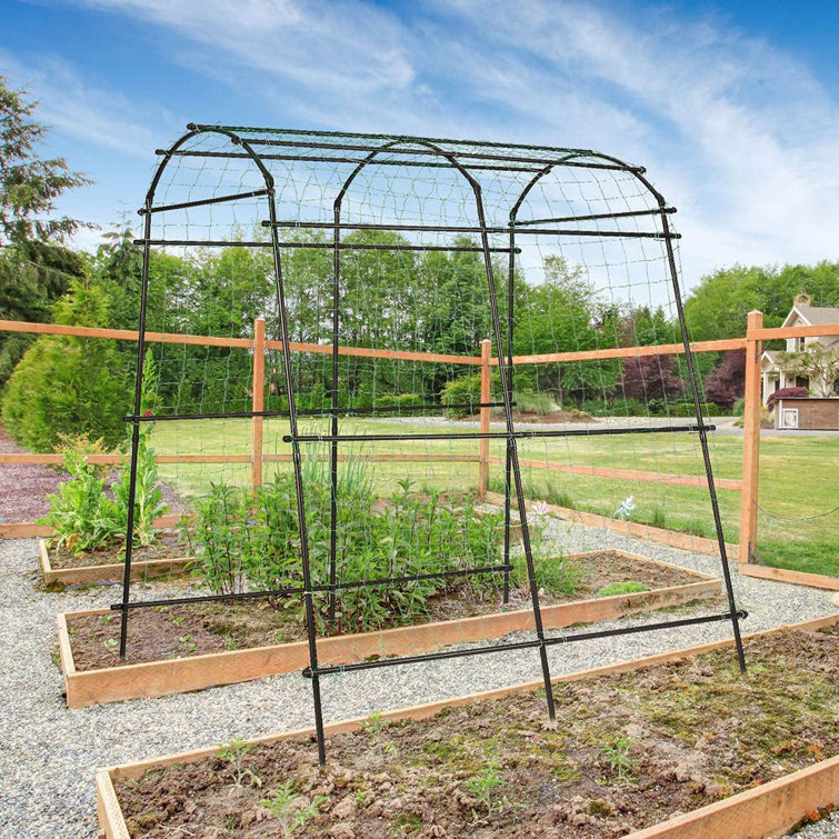 Belleze Treillis de jardin pour plantes grimpantes d'extérieur - Wayfair  Canada
