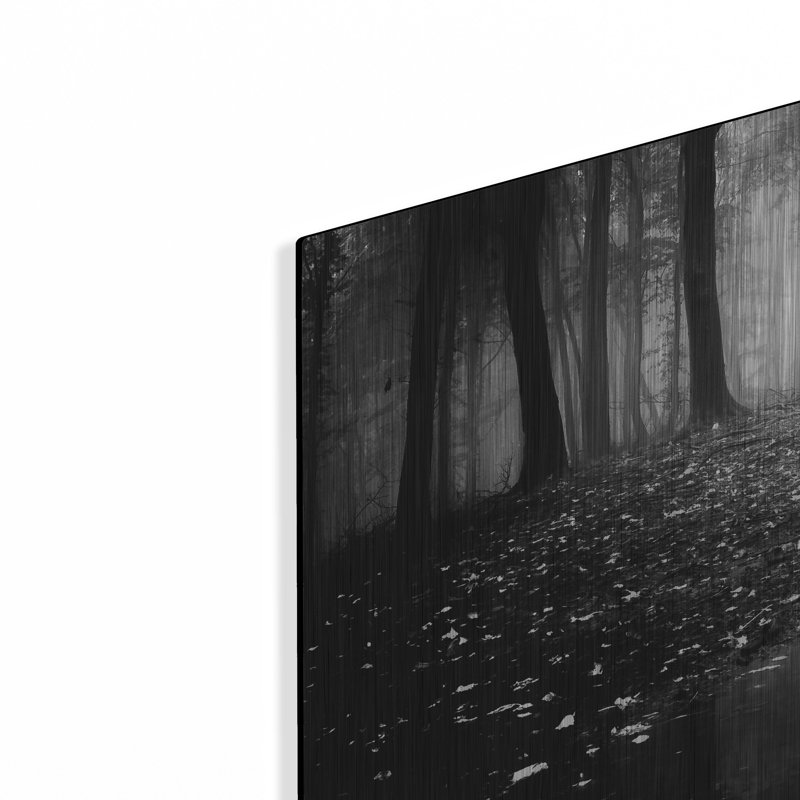 «Woods 2» par PhotoINC Studio, H 12 po x l 24 po