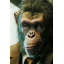 Drinking Monkey Print on Glass