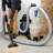 Handheld Vacuum