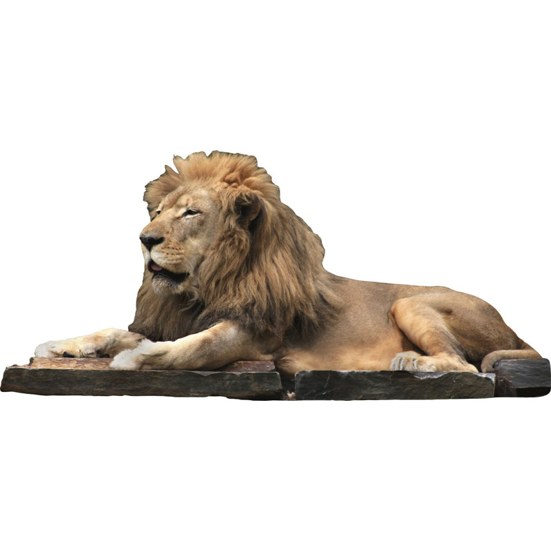 Décalcomanie murale lion, H 21,5 po x l 48 po