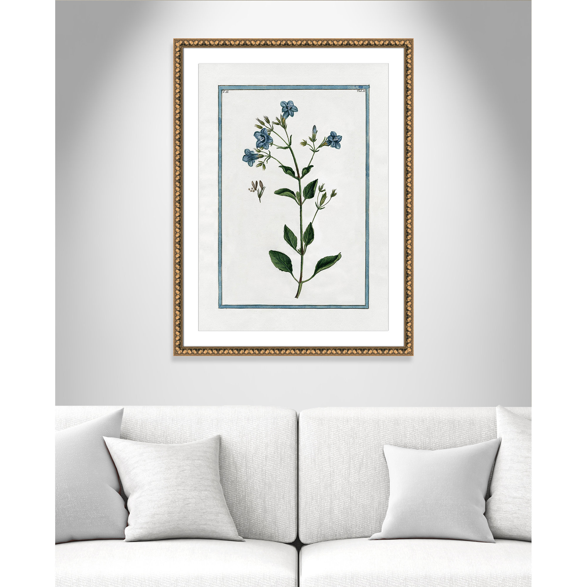 Shabby Elegance Botanical II - Framed Art, 26.5" W x 36.5" H, Gold Bead Framed