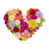 Fuschia Multi is out of stock