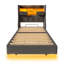 Storage Bed-892762843