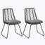 CHAISE, 2PCS avec 2 coussins, gris