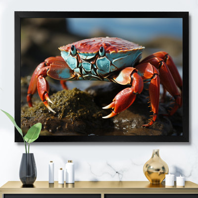 Crab Coastal Scavenger - Animals Wall Decor
