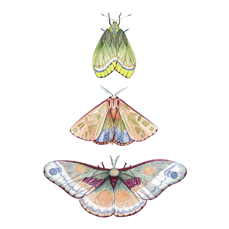 Moth Fairies II, H 30 po x l 20 po x P 1,25 po