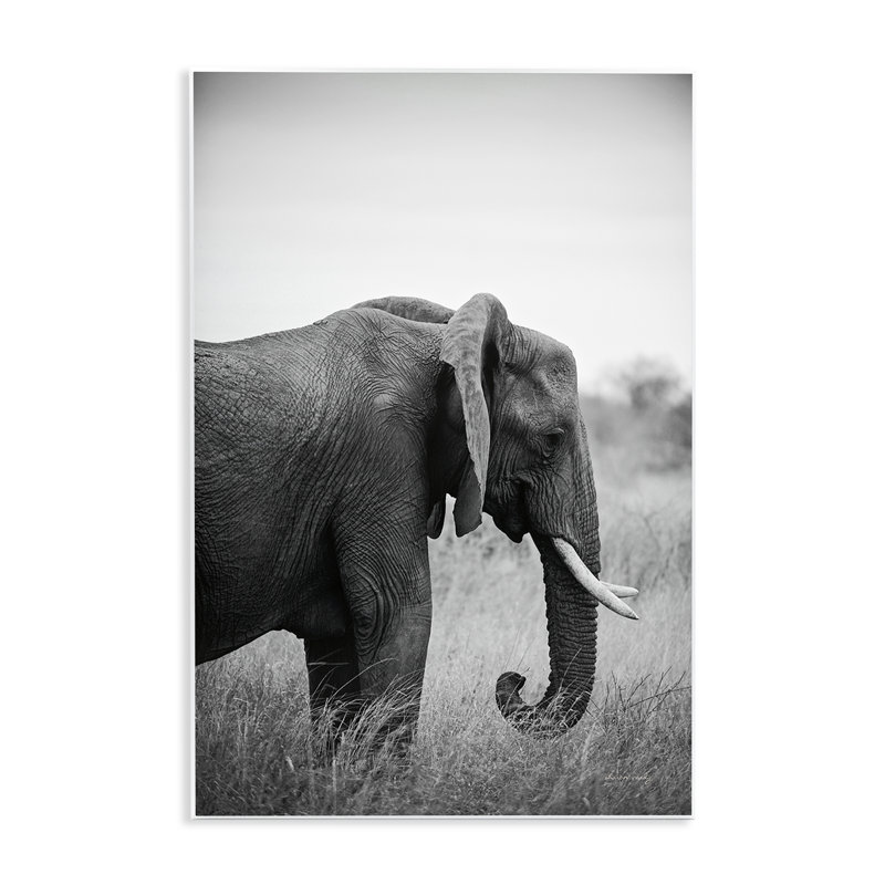 «Side Profile Elephant Wall Art» par Sharon Vardy, H 15 po x l 10 po