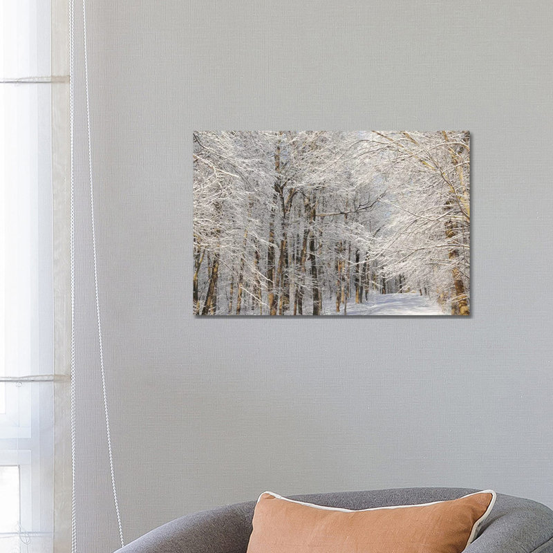 Winter Trail by Brian Wolf - Wrapped Canvas Print, 45.72cm H x 66.04cm W x 1.91cm D