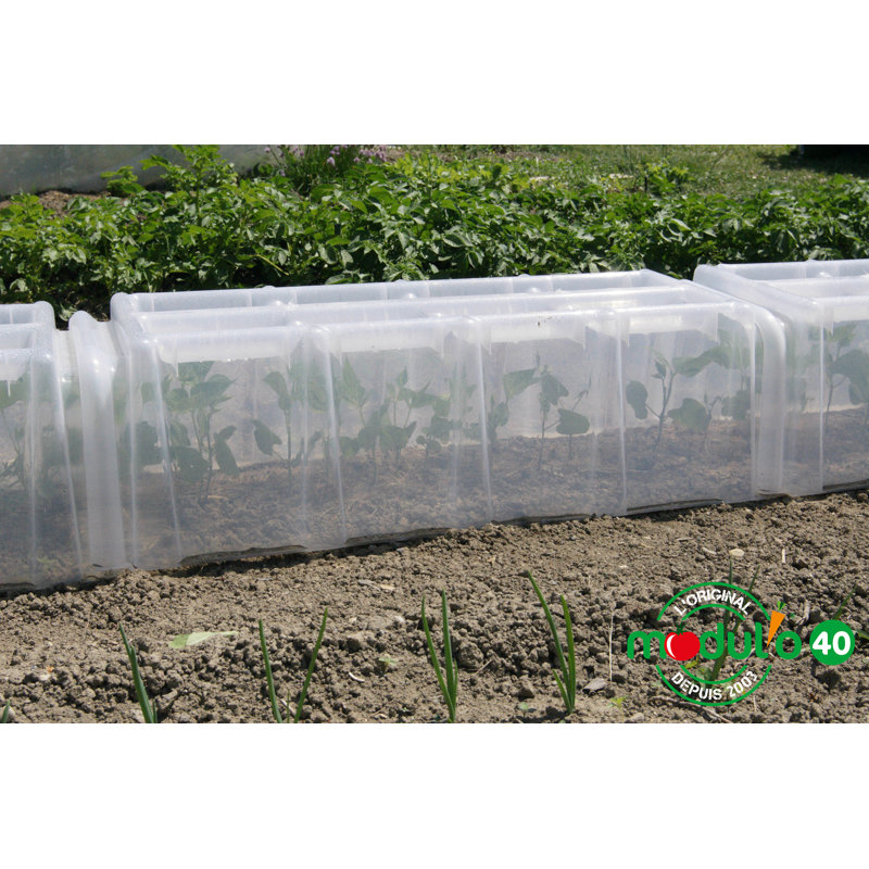 10 Ft W x 1Ft D Mini Greenhouse