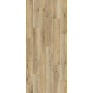 Vinifera
