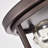 Gopi Flush Mount