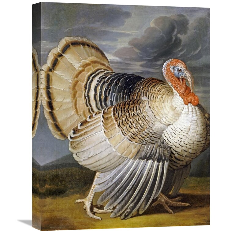 Wild Turkey Feathers Art Print