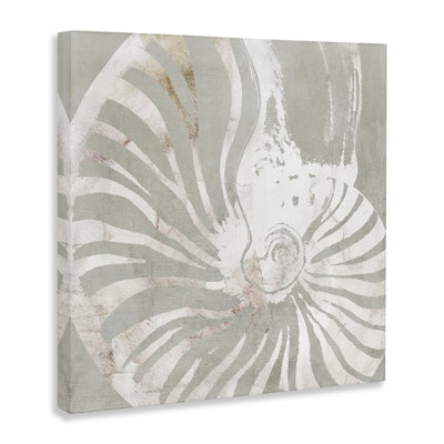 «Beige Nautilus» par Carol Robinson