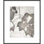 Lucent Botanicals 2 Print by Darrell Kincer-1902117477