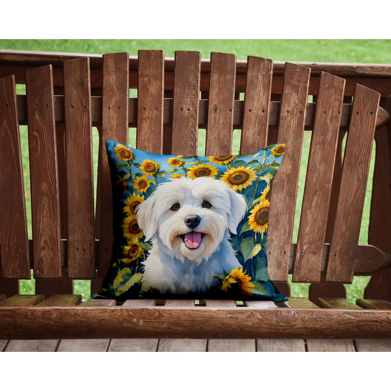 Outdoor Throw Pillow, 14" H x 14" W
