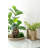 9.8X3.7X6.9" Alu Timber Wavy Rect Small Vase