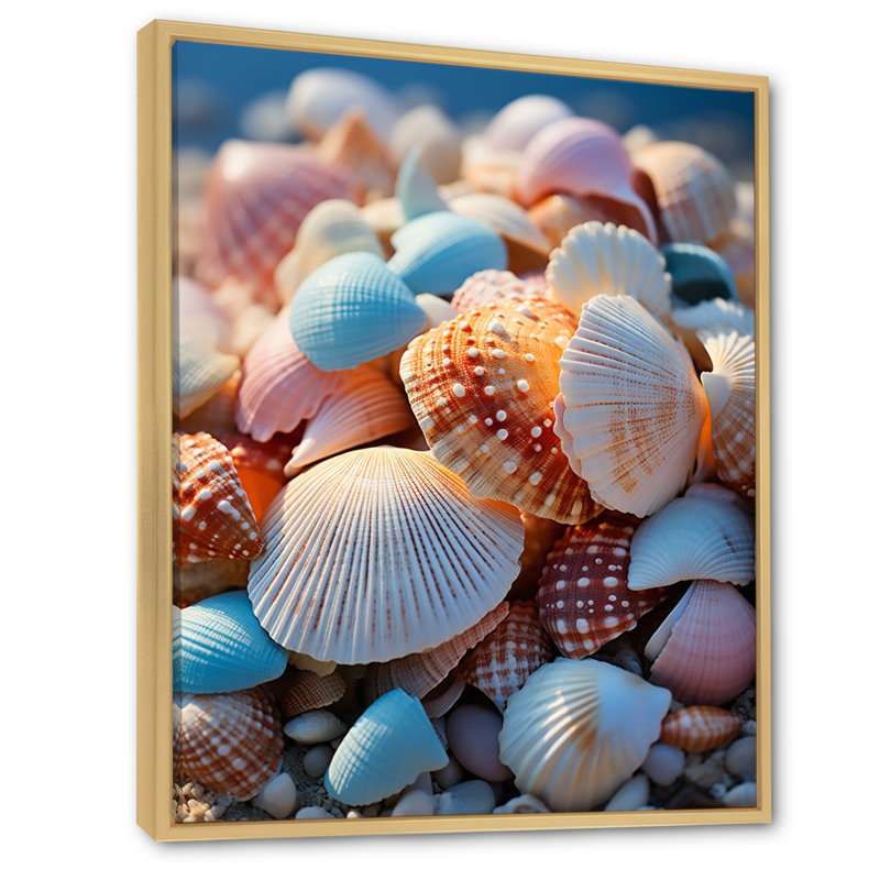 «Beach Photo Sunlit Shells III», reproduction sur toile, L 16 po x H 32 po, Cadre naturel flottant